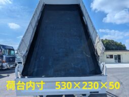 
										ISUZU Giga 2008 Dump Truck full									